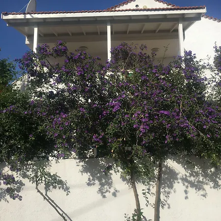 Defne Ev Ξενοδοχείο