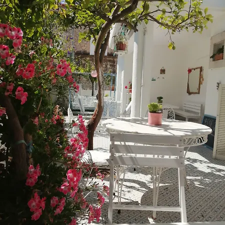 Defne Ev Ξενοδοχείο 3*