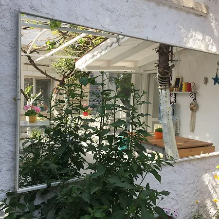 Defne Ev Ξενοδοχείο 3*